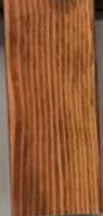 Douglas Fir: Early American